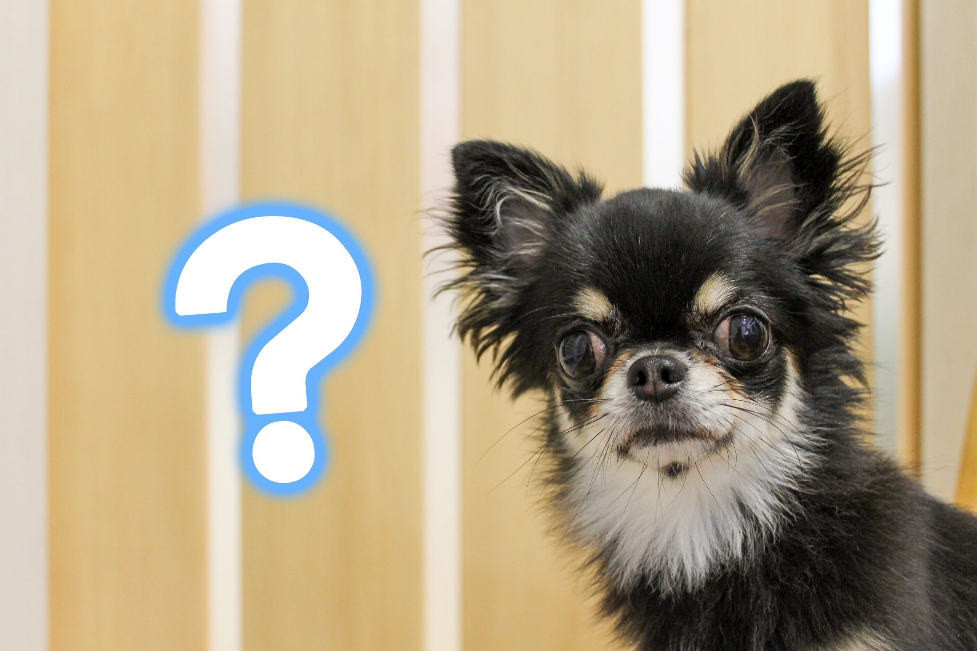 疑問をイメージしたグラフィック