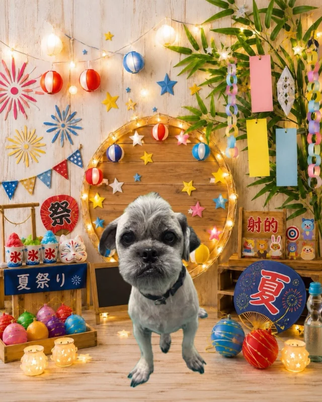 座間市さがみ野のトリミングサロン Dog Salon ONE's | 色々な1番が沢山